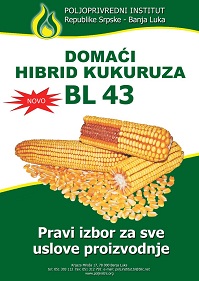 plakat manja